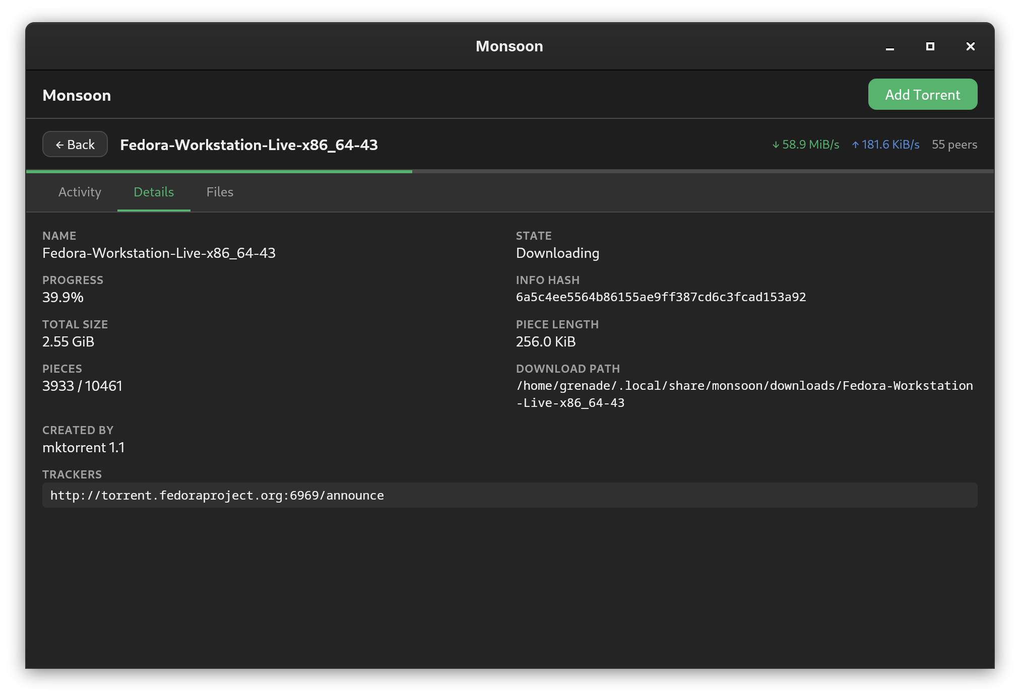 Torrent details